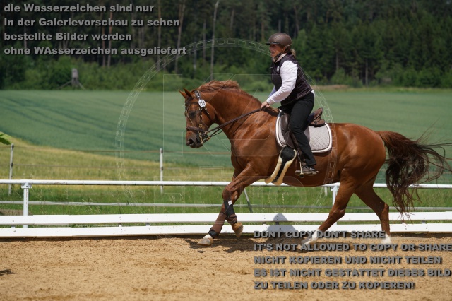 s_K3F06164.JPG
